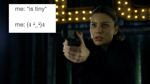 thewinterwizard: lucifer on fox + text post meme/onion headlines