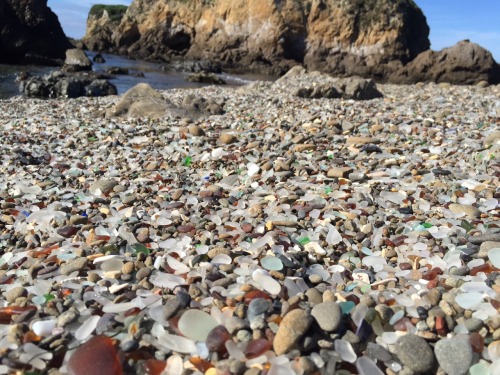 Here’s a mix of pictures from Mendocino, CA and Glass Beach in Fort Bragg, CA. The final picture is from Navarro, CA, where we stopped for dinner and wine tasting. Navarro is known for it’s wineries so we figured, why not try some local wine