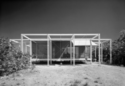 247forever:  Walker Guest House (1953) by Paul Rudolph Sarasota, FL [Photo by Ezra Stoller, currently on display at Yossi Milo Gallery] 