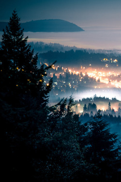 plasmatics-life:  Dreaming city | Ekaterina Aristova 