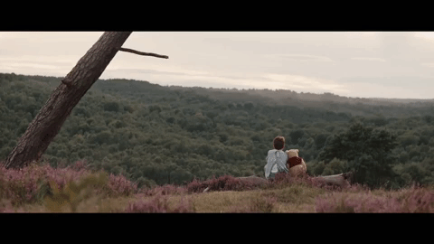 urbannoizeremixes:When trailer 2 of Christopher Robin brought together the rest of Winnie and Christ