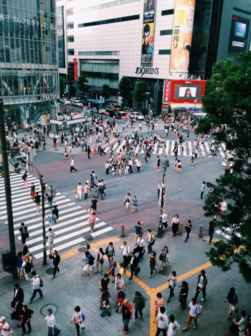 corizzlefoshizzlemynizzle: Shibuya Crossing