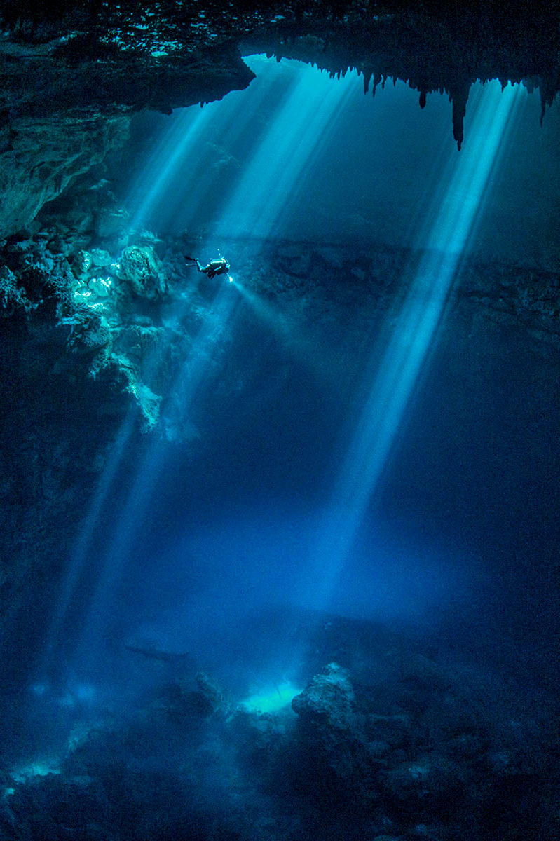 imalikshake:  From "Sacred Cenotes," August 2013 By Paul Nicklen    