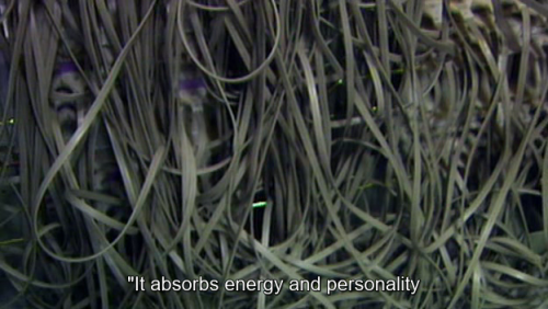 serpenservm: Adam Curtis, “All Watched Over by Machines of Loving Grace”. 2011.