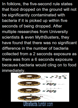 ultrafacts:  Source Want more facts?, follow