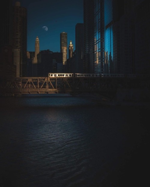 Porn archatlas:   Mike Meyers   Chicago Is Incredibly photos