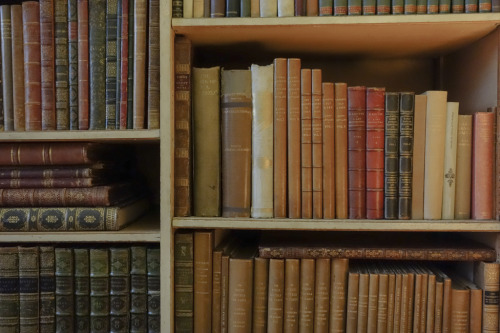 fer1972:  Leeds Castle Library Shelves by Christopher Brown