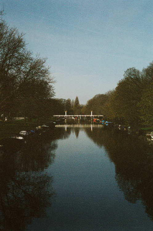 “Spring in Amsterdam”Amsterdam - 2022Leica M6 - Kodak Portra 160 + 400