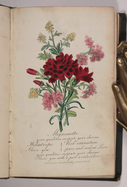 michaelmoonsbookshop: Lovely bright hand coloured plates in The Language of Flowers printed in 1834 