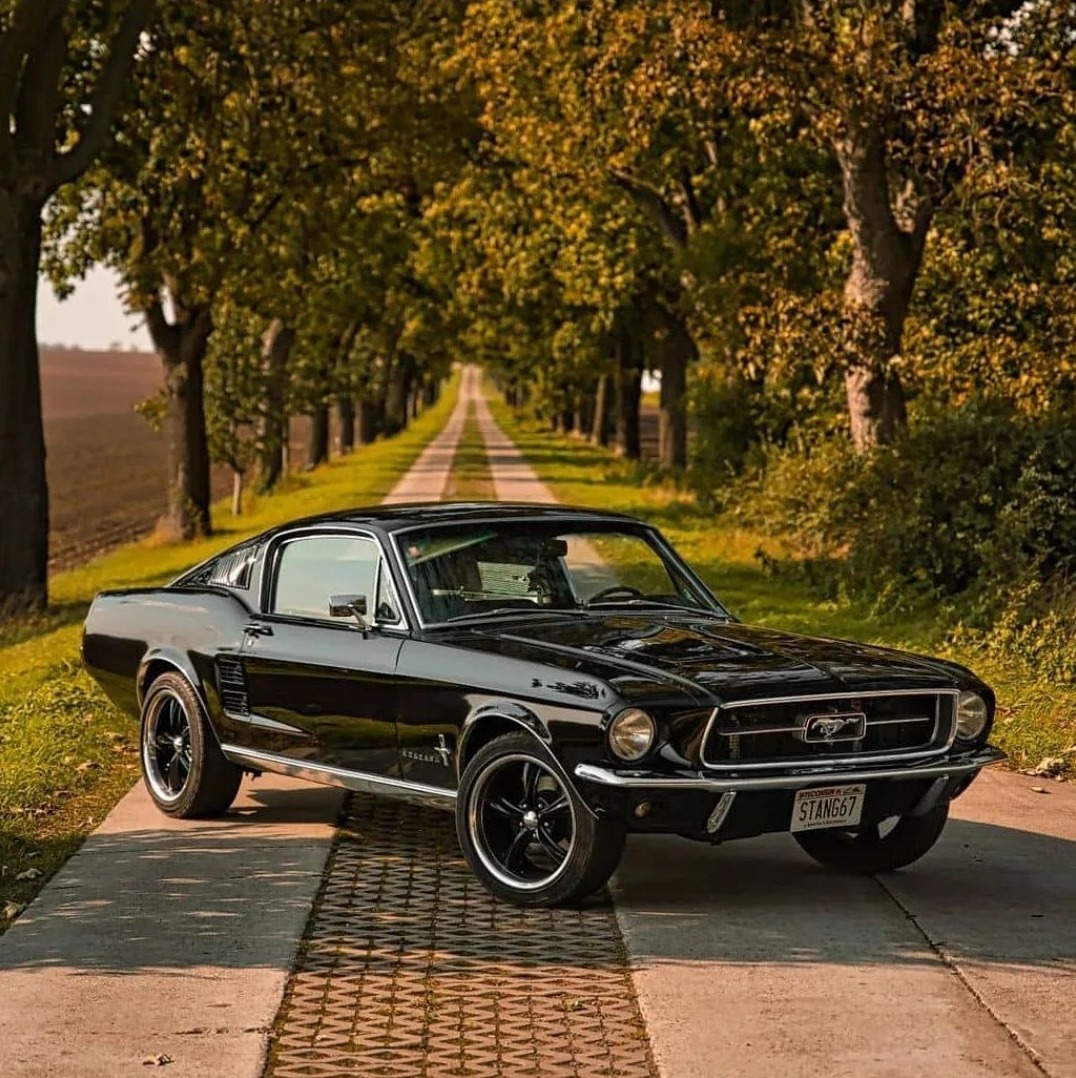 musclecarsus-deactivated2022102:Mustang 