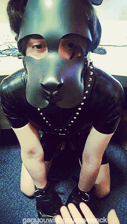 hruff:  gayboykink:  gagyouwithyourownsock:  Puppy boy.  Tricks ~ Paw.  This is literally just too adorable for me to handle. Pup’s wiggly ears as he tilts his head… His satisfied look in the eyes as he gets scratched. Oh god, the feels. <3 (PS: