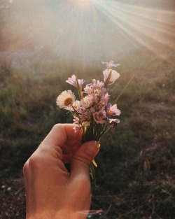 of-earthandlight:  :: 𑁍 Just imagine becoming the way you used to be as a very young child, before you understood the meaning of any word, before opinions took over your mind. The real you is loving, joyful, and free. The real you is just like a flower,