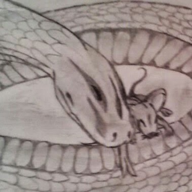 Cuddly Snake And Mouse. ^-^