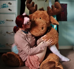 kittensplaypenshop:  borderlinekitten:  If you give a moose a muffin… or maybe a cotton candy kitten!  Aw,how cute! We have a moose stuffy at our house we take out every Christmas. He’s called Bruce Bruce the Christmas Moose XD Right baby-perv? hahaha