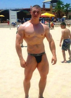 puphawaii:  proudbulge: WOW!   bone-up!  puphawaii