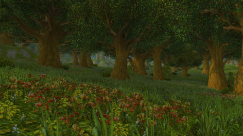 Warcraft Landscapes