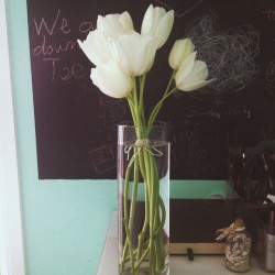 Some tulips for the room 😊🌷