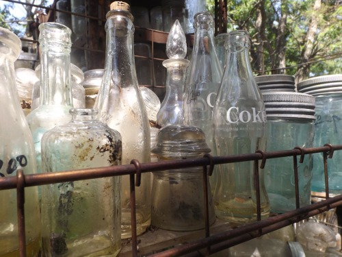 plantybabe:  Rideau Antiques, otherwise known as paradise 