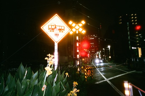 tokyo, japan, 2016