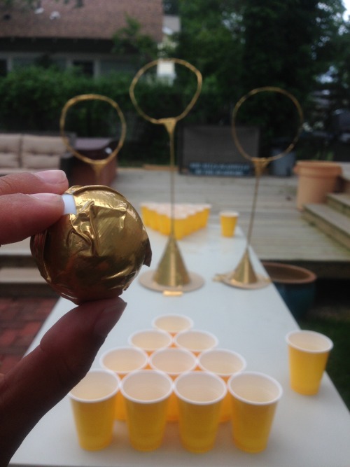 Harry Potter Beer Pong I Made For My Grad Party.