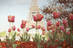 thingssheloves:  Paris, Je t’aime. by Daniel