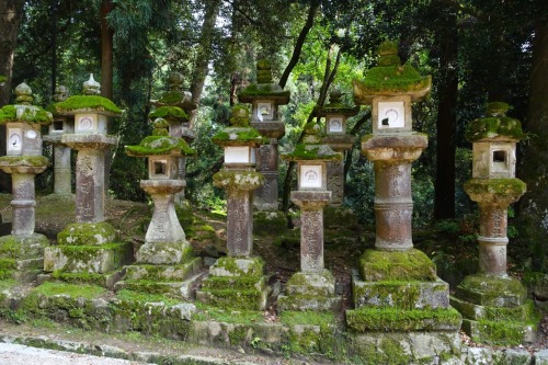 6/20 - Kasuga Taisha (Nara)