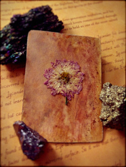 adarkcornerofmine:  Flower card #009.