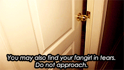 cupboardundersomestairs:  How to take care of a fangirl 