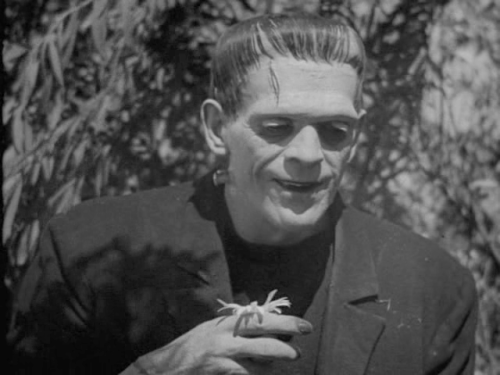 katieskrsgard:365 movies for every day of 2021254/365: Frankenstein (1931) dir. James WhaleStarring: