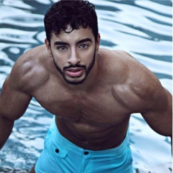 dodgee:  Laith Ashley