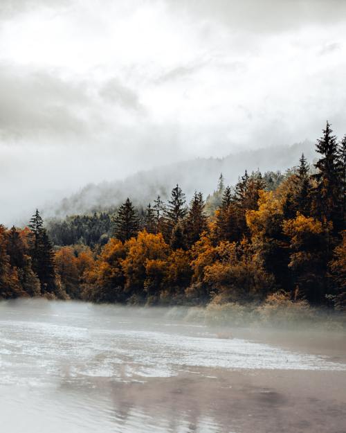 moody-nature:Autumn in Austria // By Daniel J Schwarz