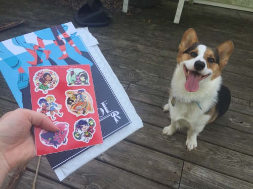 harmonicacave: Making my dog pose with some exciting mail tonight. @menons-la-danse-zine, thanks for