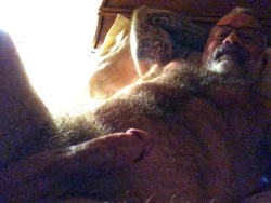 Big-Boy-38:  Haraemon: Malemotive:   Lamsclbear: Lazy Bear Morning I’d Like To
