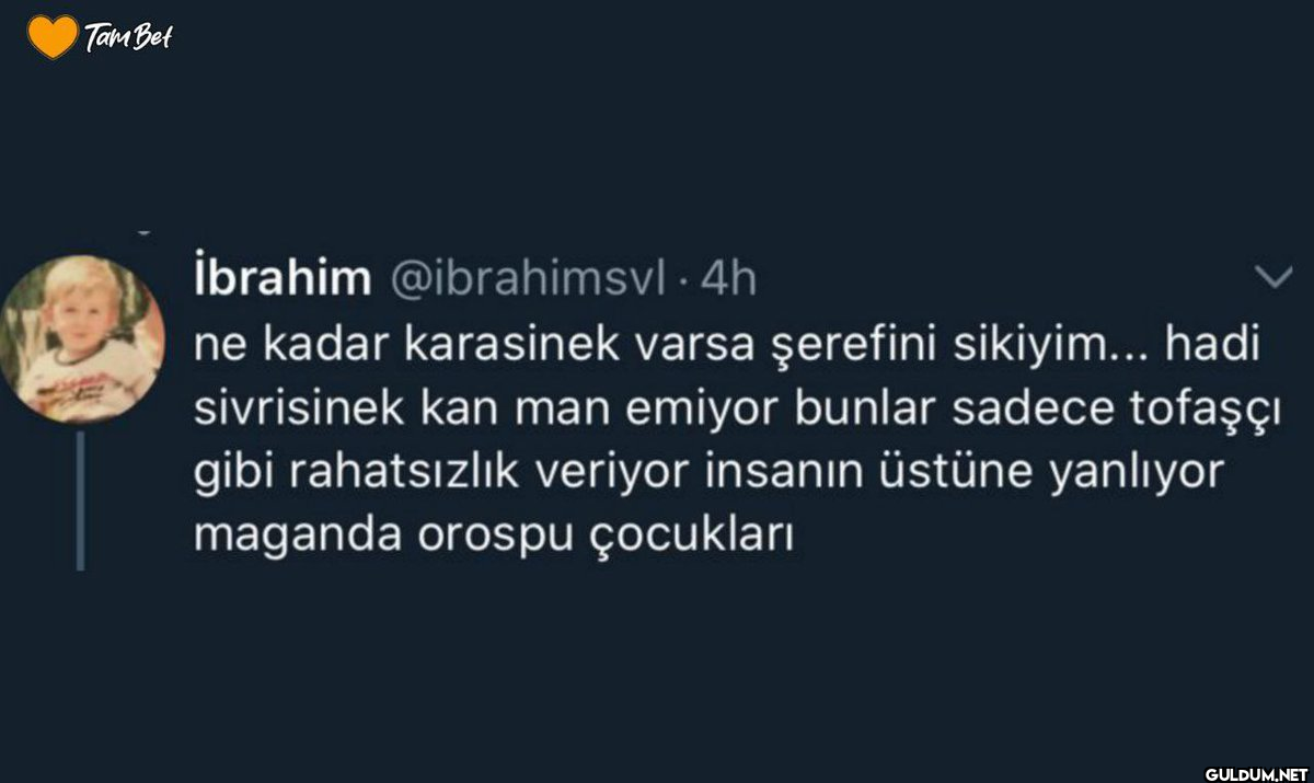 Tam Bet İbrahim...