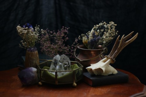 Still life photography by @90377Instagram | Etsy shop