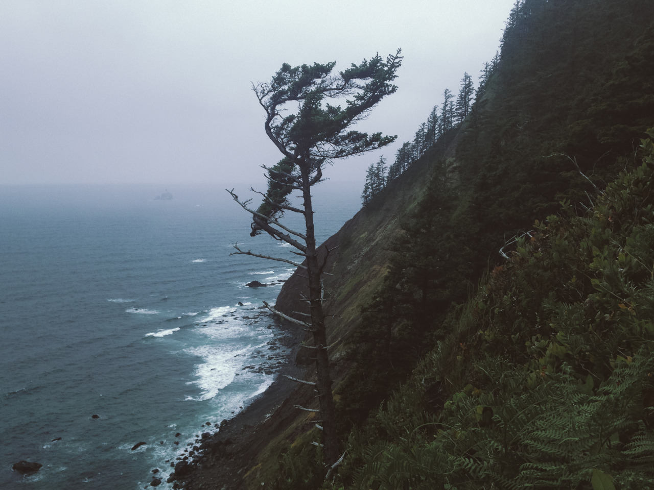 leaberphotos:  And with the rising sun, I arose from ash and dust Oregon Coast 