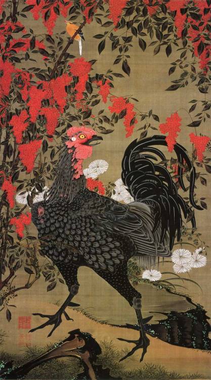 cravingdesires: drawpaintprint: Ito Jakuchu (1716-1800)