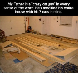 datcatwhatcameback:redhairedvictor:theinturnetexplorer:It’s arguably more the cats’ house than his at this point.@saninleader367What a pain a to clean though.&hellip;I kinda want to be the cats actually