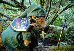 cat-cosplay:  Not all those who wander are