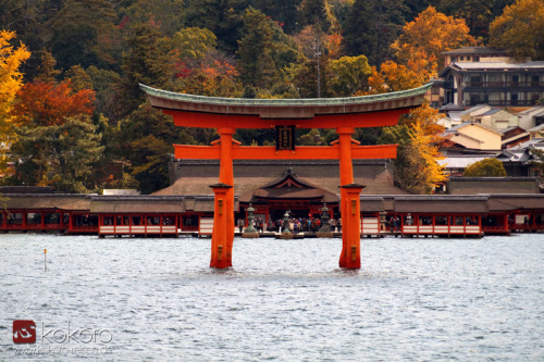 kokorojapanreisen:Das berühmte “schwebende” Tor des Itsukushima Schrein, Miyajima, ganz in der Nähe 