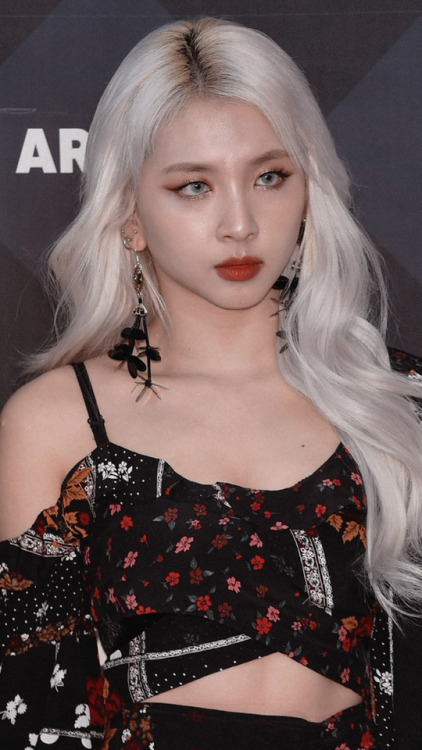 kpop-locks: jiwoo ; simple   like/reblog | @tawhyung