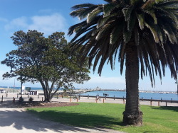 Gorgeous Day In St Kilda