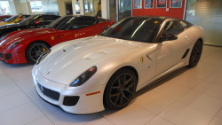carsandetc:  Pearl white Ferrari 599 GTO 