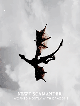 magizoology: Newt: You fought in the war? Jacob: Of course I fought in the war. Everyone fought in t