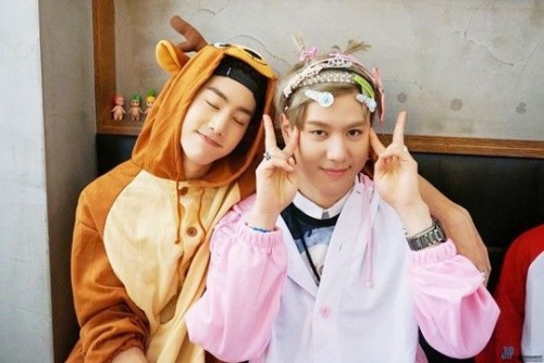 MarkYeom