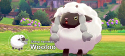 chasekip:  Five new Pokemon revealed in the Pokemon Direct!