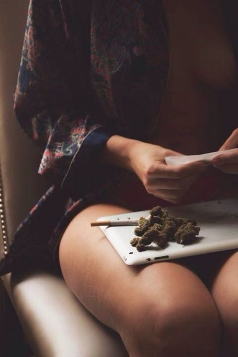fastestslothalive:  fastestslothalive.tumblr.com