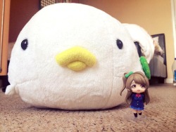 o-h-k-a-y:  Kotori and her “little” friend (• 8 •) Anybody fancy sending me a KotoUmi prompt?