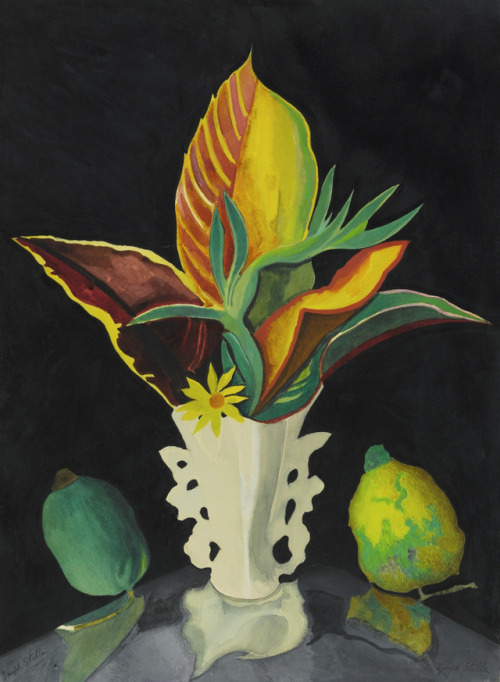 retroavangarda:Joseph Stella, Croton Leaves in a Vase