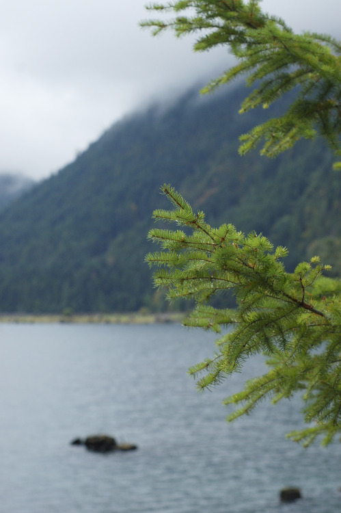 Lake Cushman